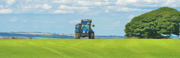 Clusters in Ireland. The Irish Dairy Processing Industry: An Application of Porter's Cluster Analysis Clusters in Ireland. The Irish Dairy Processing Industry: An Application of Porter's Cluster Analysis
