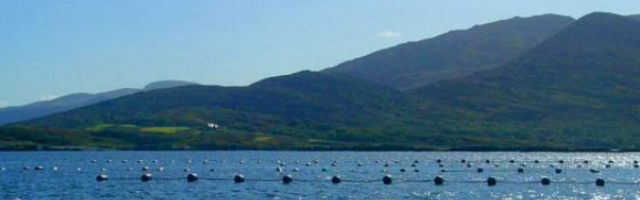 The Dynamics of Environmental Sustainability and Local Development: Aquaculture The Dynamics of Environmental Sustainability and Local Development: Aquaculture