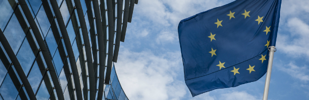 Re-finding Success in Europe: The Challenge for Irish Institutions and Policy Re-finding Success in Europe: The Challenge for Irish Institutions and Policy