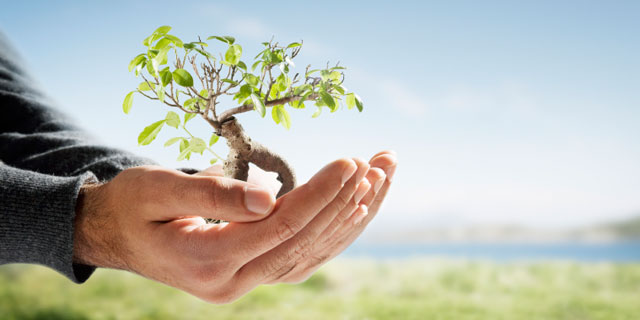 NESC Secretariat Climate Change Project