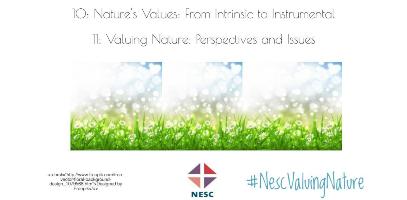 Valuing Nature: Perspectives and Issues Valuing Nature: Perspectives and Issues