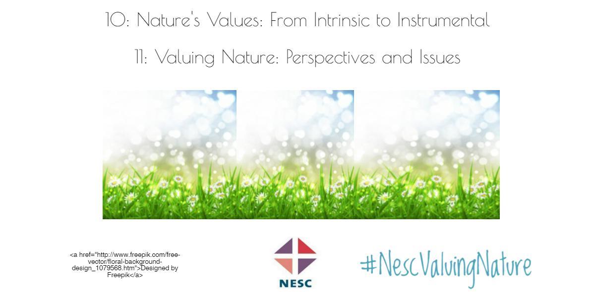NESC publishes research series Nature's Values: From Intrinsic to Instrumental and Valuing Nature: Perspective and Issues NESC publishes research series Nature's Values: From Intrinsic to Instrumental and Valuing Nature: Perspective and Issues