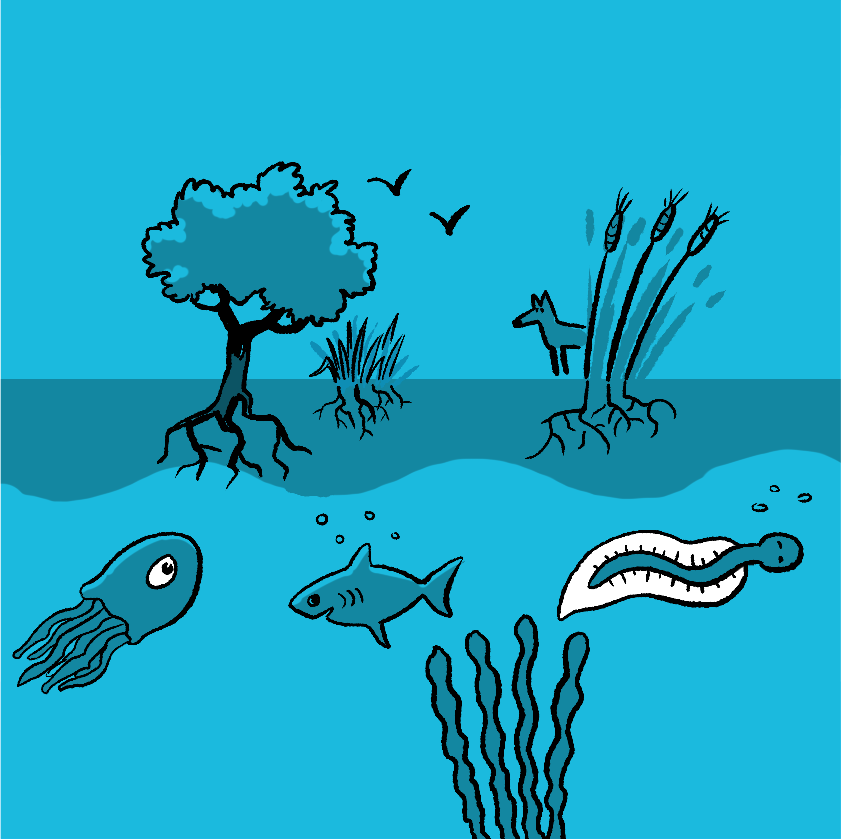 Identifying Integrated Responses to Climate Adaptation, Climate Mitigation, Biodiversity and Water Quality